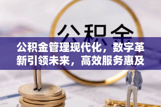 遵化市公积金管理现代化，数字革新引领未来，高效服务惠及民生