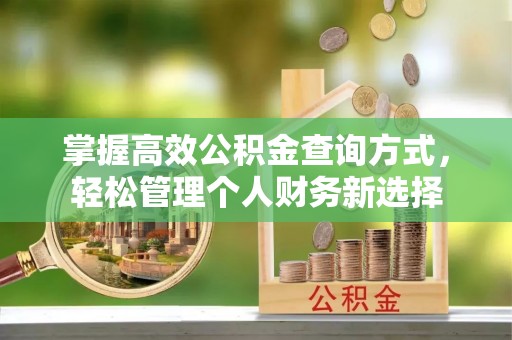 遵化市掌握高效公积金查询方式，轻松管理个人财务新选择