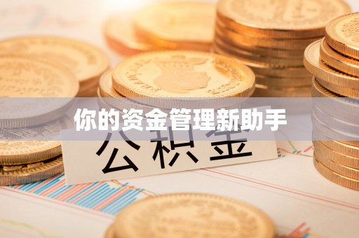 遵化市你的资金管理新助手