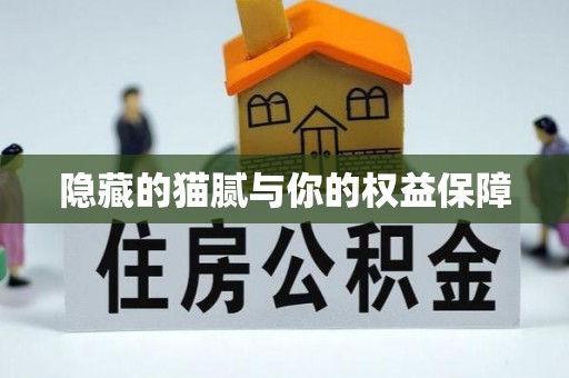 遵化市隐藏的猫腻与你的权益保障