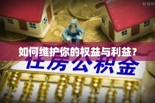 遵化市如何维护你的权益与利益？