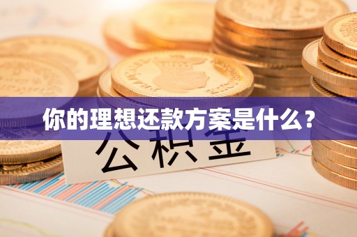 遵化市你的理想还款方案是什么？