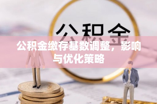 遵化市公积金缴存基数调整，影响与优化策略