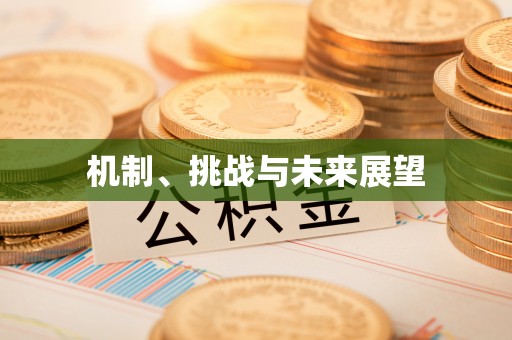 遵化市机制、挑战与未来展望