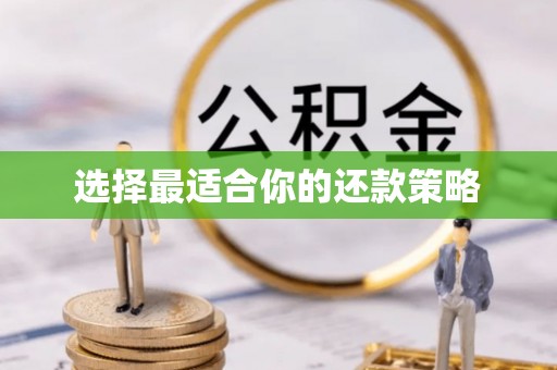 遵化市选择最适合你的还款策略